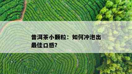 普洱茶小颗粒：如何冲泡出更佳口感？