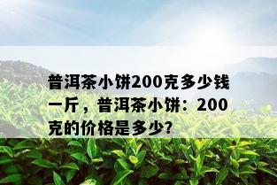 普洱茶小饼200克多少钱一斤，普洱茶小饼：200克的价格是多少？