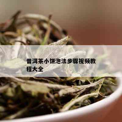 普洱茶小饼泡法步骤视频教程大全