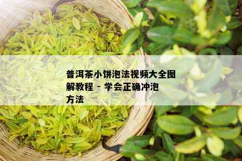 普洱茶小饼泡法视频大全图解教程 - 学会正确冲泡方法