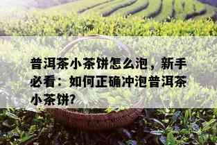 普洱茶小茶饼怎么泡，新手必看：如何正确冲泡普洱茶小茶饼？