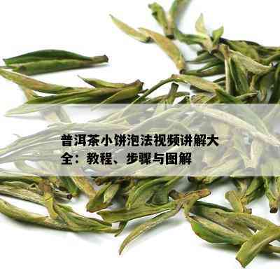 普洱茶小饼泡法视频讲解大全：教程、步骤与图解