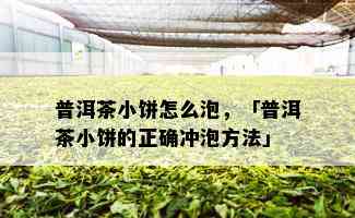 普洱茶小饼怎么泡，「普洱茶小饼的正确冲泡方法」