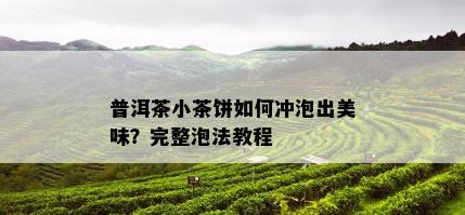 普洱茶小茶饼如何冲泡出美味？完整泡法教程