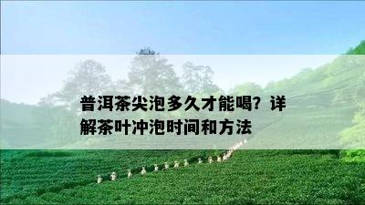 普洱茶尖泡多久才能喝？详解茶叶冲泡时间和方法