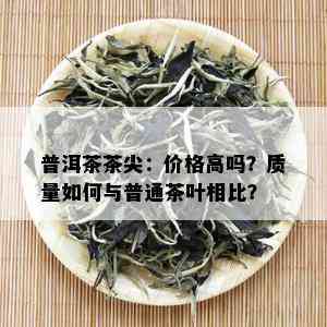 普洱茶茶尖：价格高吗？质量如何与普通茶叶相比？