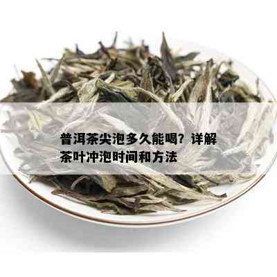 普洱茶尖泡多久能喝？详解茶叶冲泡时间和方法