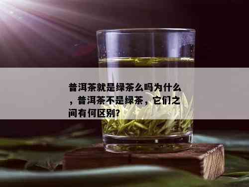 普洱茶就是绿茶么吗为什么，普洱茶不是绿茶，它们之间有何区别？