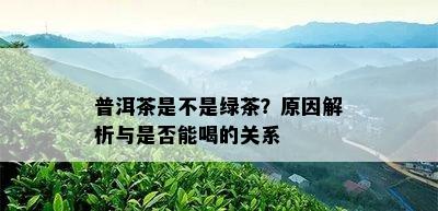 普洱茶是不是绿茶？原因解析与是否能喝的关系