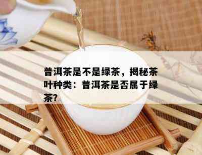 普洱茶是不是绿茶，揭秘茶叶种类：普洱茶是否属于绿茶？