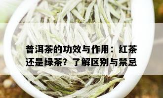 普洱茶的功效与作用：红茶还是绿茶？了解区别与禁忌