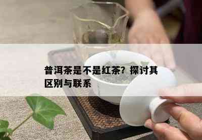 普洱茶是不是红茶？探讨其区别与联系