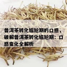 普洱茶转化尴尬期的口感，破解普洱茶转化尴尬期：口感变化全解析