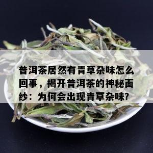 普洱茶居然有青草杂味怎么回事，揭开普洱茶的神秘面纱：为何会出现青草杂味？