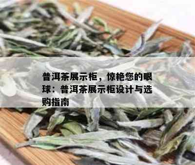 普洱茶展示柜，惊艳您的眼球：普洱茶展示柜设计与选购指南