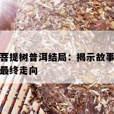 菩提树普洱结局：揭示故事最终走向