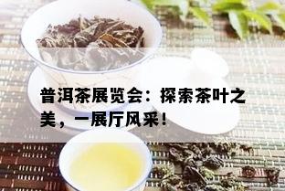 普洱茶展览会：探索茶叶之美，一展厅风采！