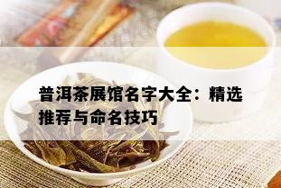 普洱茶展馆名字大全：精选推荐与命名技巧