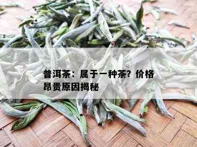 普洱茶：属于一种茶？价格昂贵原因揭秘