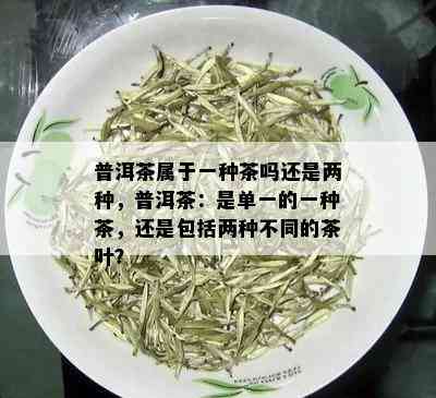 普洱茶属于一种茶吗还是两种，普洱茶：是单一的一种茶，还是包括两种不同的茶叶？