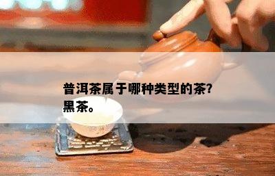 普洱茶属于哪种类型的茶？黑茶。