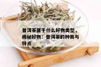 普洱茶属于什么好物类型，揭秘好物：普洱茶的种类与特点