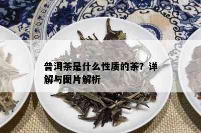 普洱茶是什么性质的茶？详解与图片解析