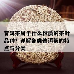 普洱茶属于什么性质的茶叶品种？详解各类普洱茶的特点与分类