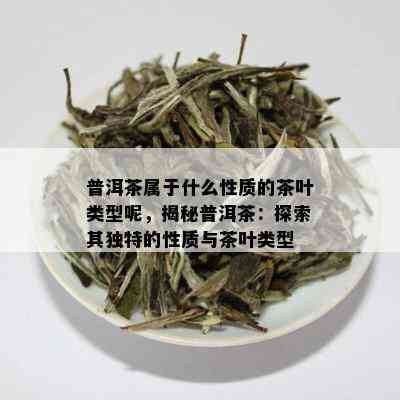 普洱茶属于什么性质的茶叶类型呢，揭秘普洱茶：探索其独特的性质与茶叶类型