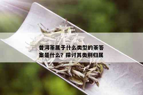 普洱茶属于什么类型的茶答案是什么？探讨其类别归属