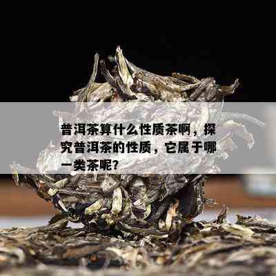 普洱茶算什么性质茶啊，探究普洱茶的性质，它属于哪一类茶呢？