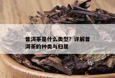 普洱茶是什么类型？详解普洱茶的种类与归属