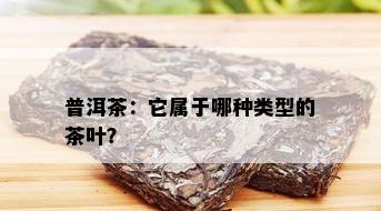 普洱茶：它属于哪种类型的茶叶？