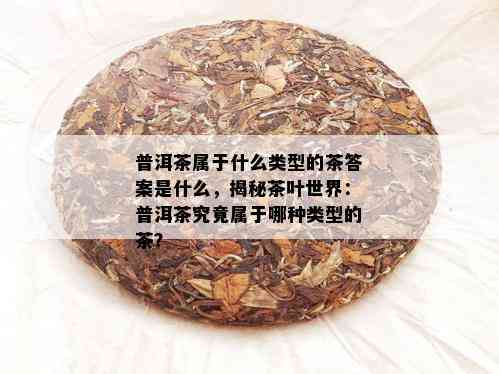 普洱茶属于什么类型的茶答案是什么，揭秘茶叶世界：普洱茶究竟属于哪种类型的茶？