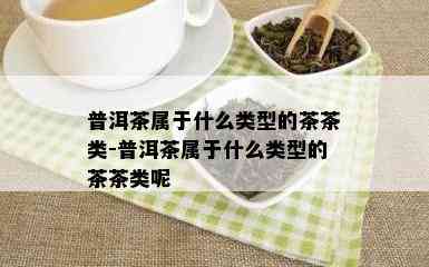 普洱茶属于什么类型的茶茶类-普洱茶属于什么类型的茶茶类呢