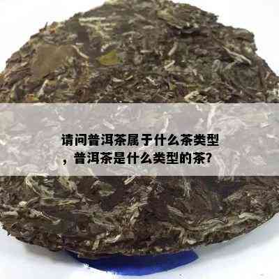 请问普洱茶属于什么茶类型，普洱茶是什么类型的茶？