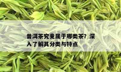 普洱茶究竟属于哪类茶？深入了解其分类与特点