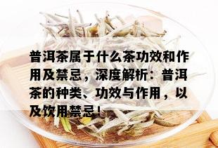 普洱茶属于什么茶功效和作用及禁忌，深度解析：普洱茶的种类、功效与作用，以及饮用禁忌！