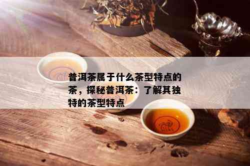 普洱茶属于什么茶型特点的茶，探秘普洱茶：了解其独特的茶型特点