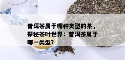 普洱茶属于哪种类型的茶，探秘茶叶世界：普洱茶属于哪一类型？