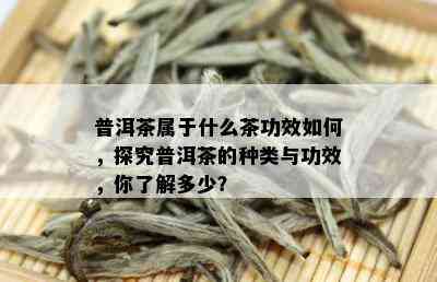 普洱茶属于什么茶功效如何，探究普洱茶的种类与功效，你了解多少？