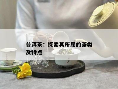 普洱茶：探索其所属的茶类及特点