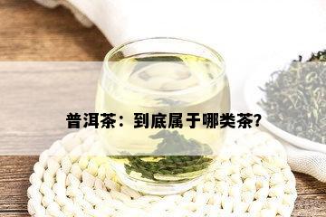 普洱茶：到底属于哪类茶？