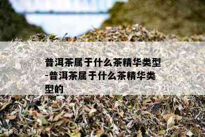 普洱茶属于什么茶精华类型-普洱茶属于什么茶精华类型的