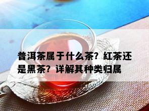 普洱茶属于什么茶？红茶还是黑茶？详解其种类归属