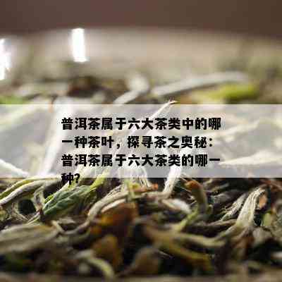 普洱茶属于六大茶类中的哪一种茶叶，探寻茶之奥秘：普洱茶属于六大茶类的哪一种？