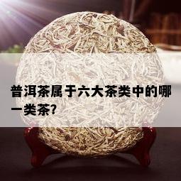 普洱茶属于六大茶类中的哪一类茶？