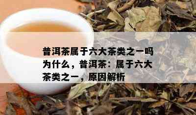 普洱茶属于六大茶类之一吗为什么，普洱茶：属于六大茶类之一，原因解析