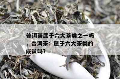 普洱茶属于六大茶类之一吗，普洱茶：属于六大茶类的成员吗？