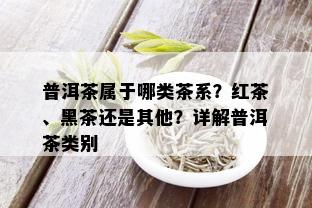 普洱茶属于哪类茶系？红茶、黑茶还是其他？详解普洱茶类别